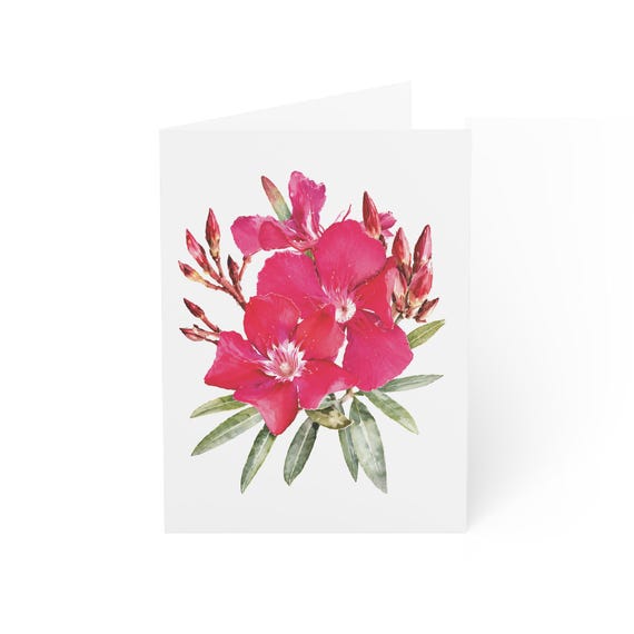 Desert Rose Greeting Card, Digital Art Print, Botanical Card, Blank Inside, Bill Shew wall art print