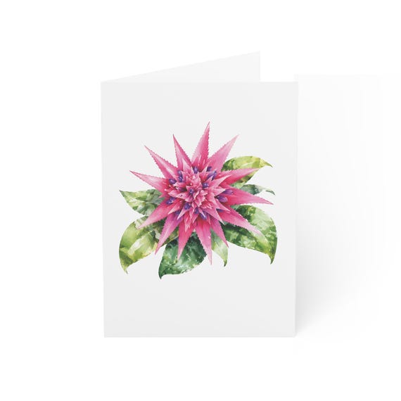 Pink Tropical Flower Greeting Card, Botanical Digital Art Print, Blank Inside for Any Occasion, Bill Shew wall art print