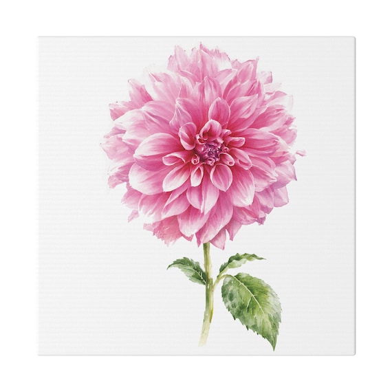 Pink Dahlia Botanical Art Classic Stretched Canvas | Floral Wall Decor, Bill Shew canvas print
