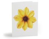 Chocolate Flower Botanical Watercolor Greeting Card, Yellow Wildflower Art by Bill Shew