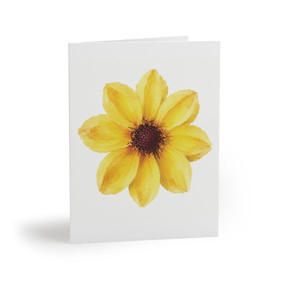 Chocolate Flower Botanical Watercolor Greeting Card, Yellow Wildflower Art by Bill Shew