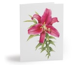 Watercolor Pink Lily Greeting Card | Botanical Floral Note Card (AI-Assisted Artwork) by Bill Shew