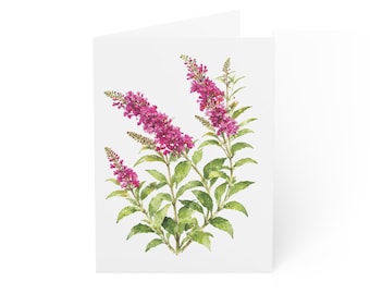 Butterfly Bush Greeting Card, Digital Art Print, Botanical Card, Blank Inside
