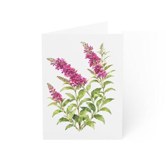 Butterfly Bush Greeting Card, Digital Art Print, Botanical Card, Blank Inside, Bill Shew wall art print