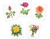 Rose Botanical Greeting Card Set of 5, Assorted Watercolor Floral Note Cards, Blank Inside by Bill Shew