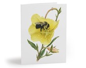 8 cards - Yellow Evening Primrose Greeting Card, Botanical Watercolor Flower Art by Bill Shew
