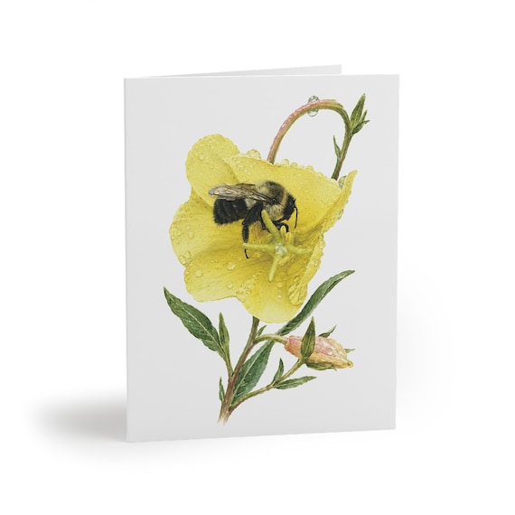 8 cards - Yellow Evening Primrose Greeting Card, Botanical Watercolor Flower Art by Bill Shew
