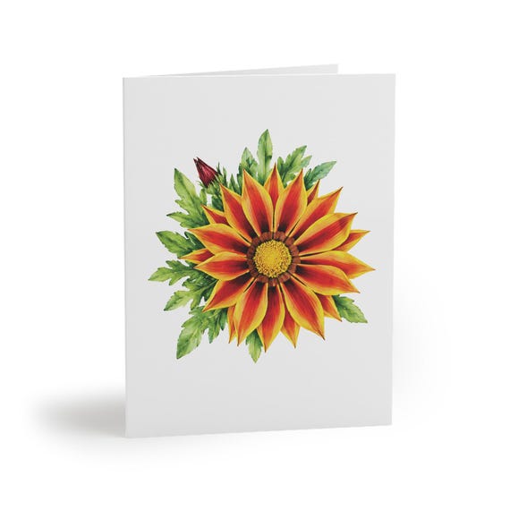 8 cards - Gazania Greeting Card, Orange Treasure Flower Botanical Watercolor by Bill Shew