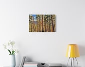 Golden Hour Pine Forest Canvas Print, Textured Mountain Wall Art, Sunlit Trees Decor, framing detail (Bill Shew)