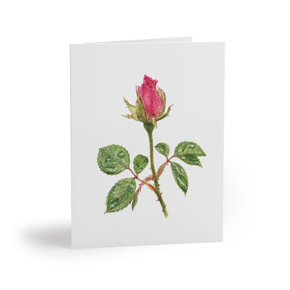 8 cards - Pink Rose Bud Greeting Card, Botanical Watercolor Flower Art, Rose Floral Card by Bill Shew