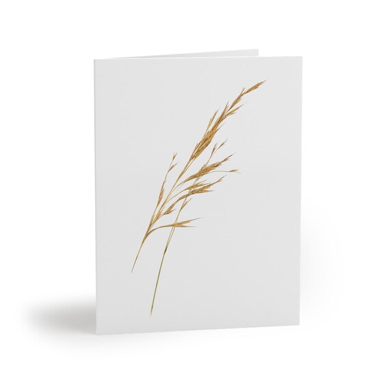 8 cards - Golden Wild Grass Watercolor Greeting Card, Botanical Grass Illustration by Bill Shew