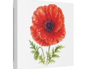 Red Oriental Poppy Botanical Art Classic Stretched Canvas | Floral Wall Decor, framing detail (Bill Shew)
