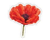 Red Poppy Sticker, Watercolor Poppy Flower Sticker, Botanical Floral Sticker by Bill Shew