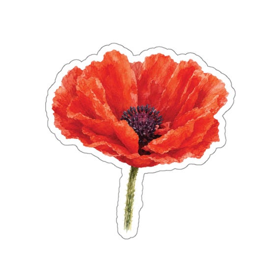Red Poppy Sticker, Watercolor Poppy Flower Sticker, Botanical Floral Sticker by Bill Shew