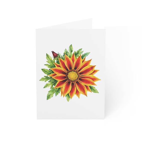 Gazania Flower Greeting Card, Digital Art Print, Botanical Card, Blank Inside, Bill Shew wall art print