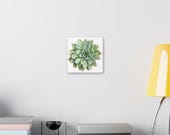 Green Echeveria Succulent Botanical Art Classic Stretched Canvas | Floral Wall Decor, alternate view (Bill Shew)