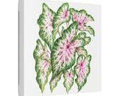 Pink Caladium Botanical Art Classic Stretched Canvas | Botanical Wall Decor, framing detail (Bill Shew)