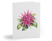 8 cards - Pink Bromeliad Watercolor Greeting Card, Tropical Floral Botanical Art (Blank) by Bill Shew