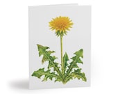 Watercolor Dandelion Greeting Card, Botanical Wildflower Art (4.25" x 5.5") by Bill Shew