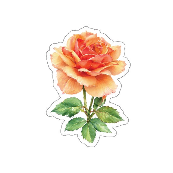 Peach Rose Sticker, Orange Rose Die Cut Sticker, Botanical Flower Sticker by Bill Shew