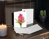 Pink Rose Bud Watercolor Greeting Card, Botanical Floral Art, Blank Inside, alternate view (Bill Shew)