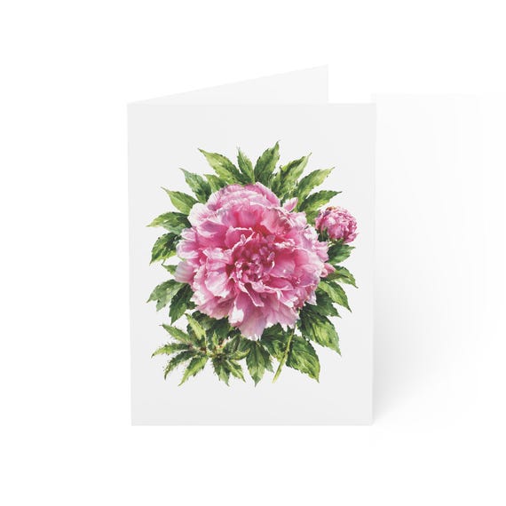 Pink Peony Greeting Card, Digital Art Print, Botanical Card, Blank Inside, Bill Shew wall art print