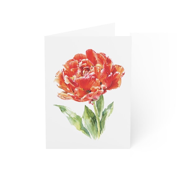 Orange Fancy Tulip Card, Digital Art Print, Botanical Card, Blank Inside, Bill Shew wall art print