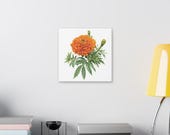 Orange Marigold Botanical Art Classic Stretched Canvas | Floral Garden Wall Decor, detail view (Bill Shew)