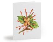 8 cards - Orange Ixora Watercolor Card, Botanical Floral Illustration by Bill Shew