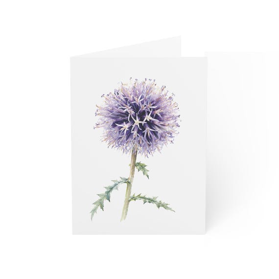 Globe Thistle Greeting Card, Digital Art Print, Botanical Card, Blank Inside, Bill Shew wall art print