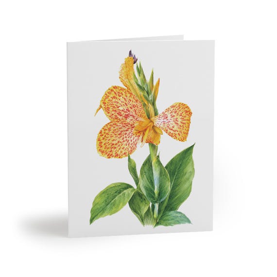 Canna Lily Greeting Card, Watercolor Botanical Card, Yellow Orange Flower Card by Bill Shew