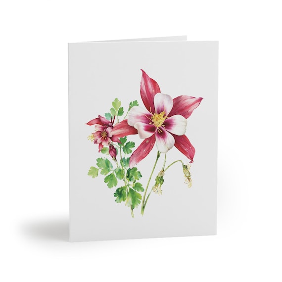 8 cards - Pink White Columbine Watercolor Greeting Card, Botanical Floral Note Card by Bill Shew
