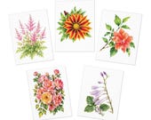 Assorted Floral Note Cards, Watercolor Garden Flower Prints, Bill Shew note card set
