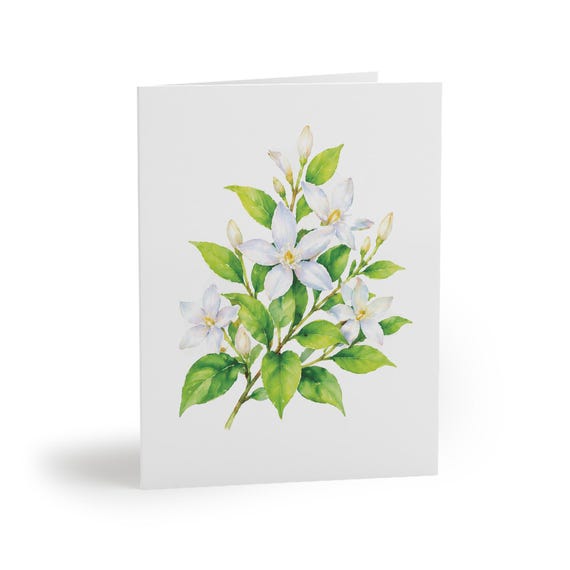 8 cards - White Star Jasmine Botanical Watercolor Greeting Card, Floral Note Card by Bill Shew