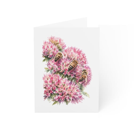 Pink Sedum Flower Greeting Card, Sedum with Bees Digital Art Print, Botanical Card, Blank Inside for Any Occasion, Bill Shew wall art print