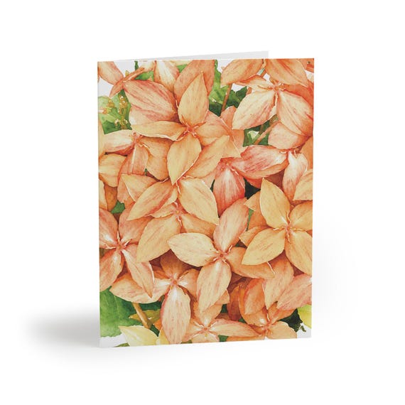 Peach Ixora Watercolor Greeting Card, Tropical Floral Illustration (Pack of 8, 16, or 24) Peach Ixora Watercolor Greeting Card, Tropical Floral Illustration (Pack of 8, 16, or 24) by Bill Shew