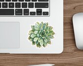 Echeveria Succulent Sticker, Green Echeveria Die Cut Sticker, Botanical Plant Sticker, detail view (Bill Shew)