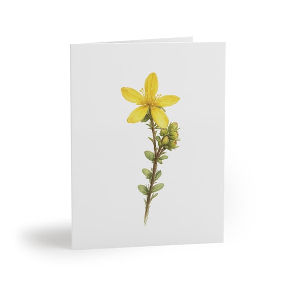 St. John's Wort Watercolor Greeting Card – Yellow Botanical Wildflower Stationery St. John's Wort Watercolor Greeting Card – Yellow Botanical Wildflower Stationery by Bill Shew