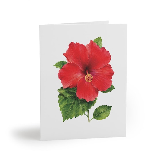 8 cards - Red Hibiscus Watercolor Card, Tropical Floral Botanical Illustration, Blank Note by Bill Shew