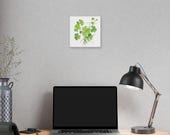 Green Clover Botanical Art Classic Stretched Canvas | Lucky Clover Wall Decor, in-room view (Bill Shew)