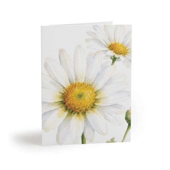 Oxeye Daisy Watercolor Greeting Card, White Wildflower Botanical Art (Pack of 8, 16, or 24) Oxeye Daisy Watercolor Greeting Card, White Wildflower Botanical Art (Pack of 8, 16 by Bill Shew