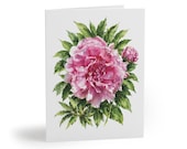 8 cards - Pink Peony Watercolor Card, Botanical Blush Floral Illustration by Bill Shew