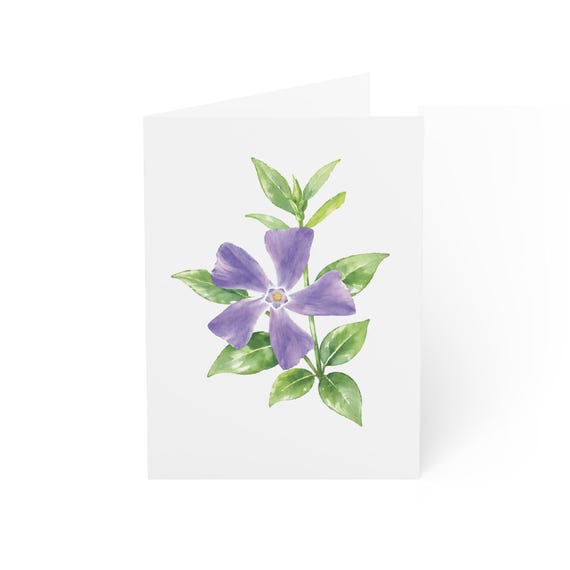 Periwinkle Flowers Greeting Card, Purple Vinca Digital Art Print, Botanical Card, Blank Inside for Any Occasion, Bill Shew wall art print