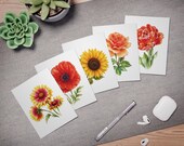 Sunflower & Wildflower Botanical Greeting Card Set of 5, alternate view (Bill Shew)
