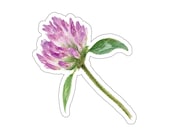 Red Clover Sticker, Purple Clover Flower Sticker, Botanical Die Cut Sticker by Bill Shew