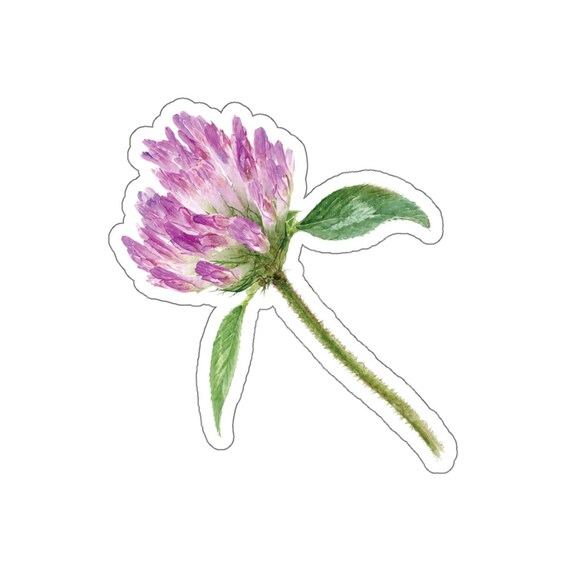 Red Clover Sticker, Purple Clover Flower Sticker, Botanical Die Cut Sticker by Bill Shew