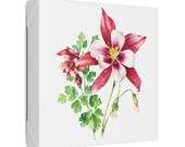Red White Columbine Botanical Art Classic Stretched Canvas, detail view (Bill Shew)
