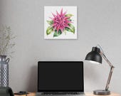 Pink Bromeliad Botanical Art Classic Stretched Canvas | Tropical Floral Wall Decor, alternate view (Bill Shew)