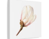 Pink Magnolia Botanical Canvas, detail view (Bill Shew)