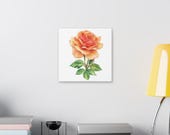 Apricot Orange Rose Botanical Art Classic Stretched Canvas | Floral Wall Decor, detail view (Bill Shew)